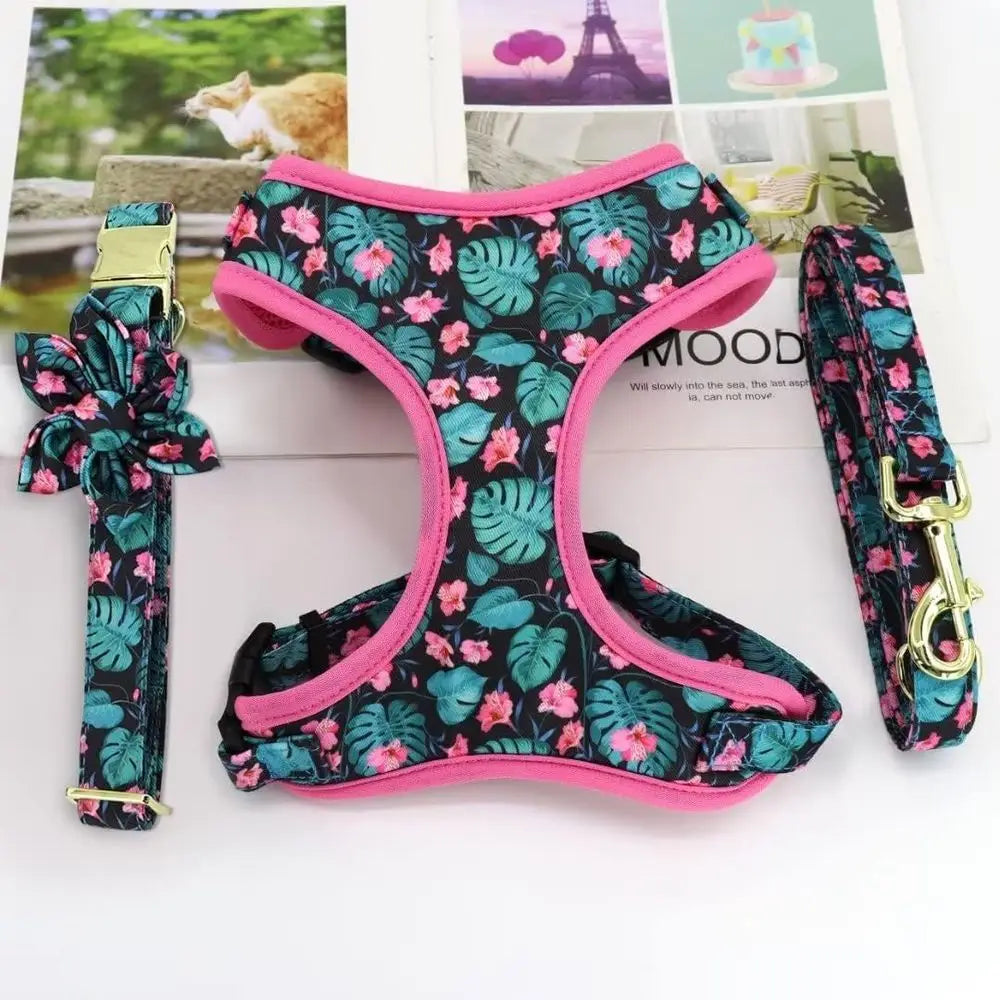 Cute Girl Dog Collars, Harnes & Leashes Set - Adjustable Dog Collar and Leash Set with lower - Sot Mesh Dog Vest Harnor Puppies