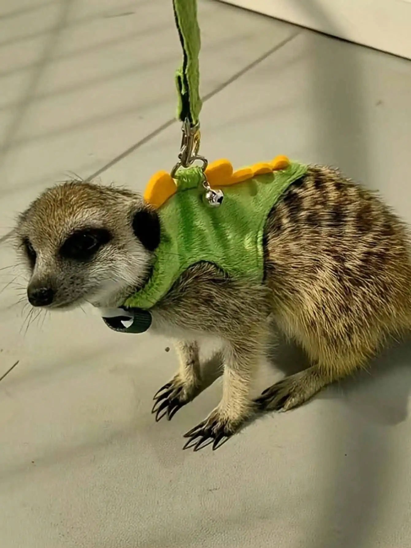 Cute Dinosaur Adjustable Harness And Leash Set For Small Pets Ferret Guinea Pig Hamster Lizard Outdoor Walking