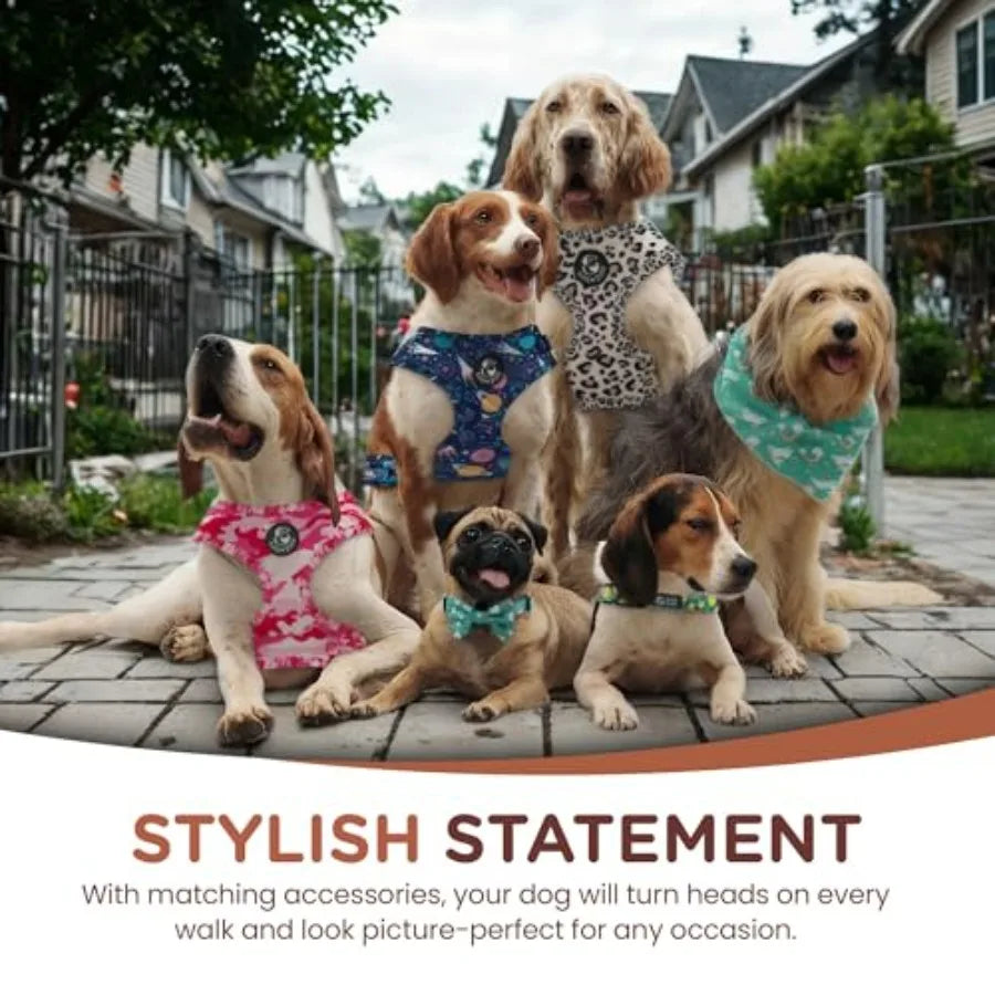 No Pull Harness and Leash Set - 6-in-1 Adjustable Vest Harness and Collars for and Dogs
