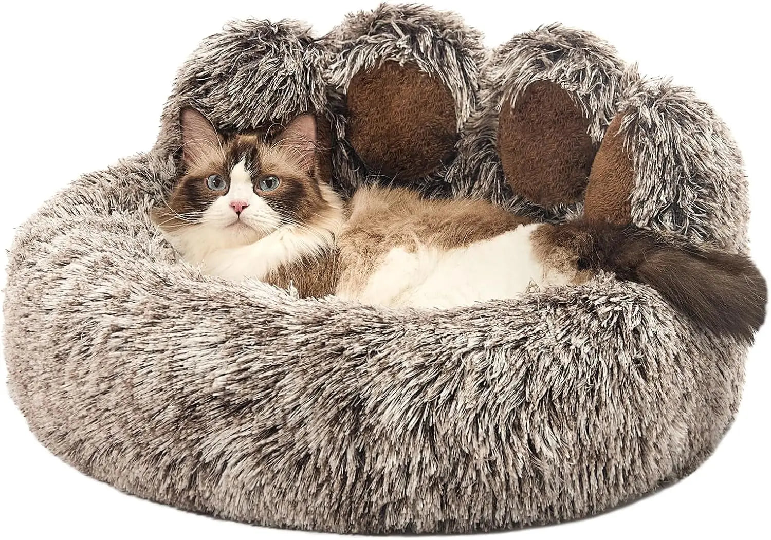 Pet Beds
