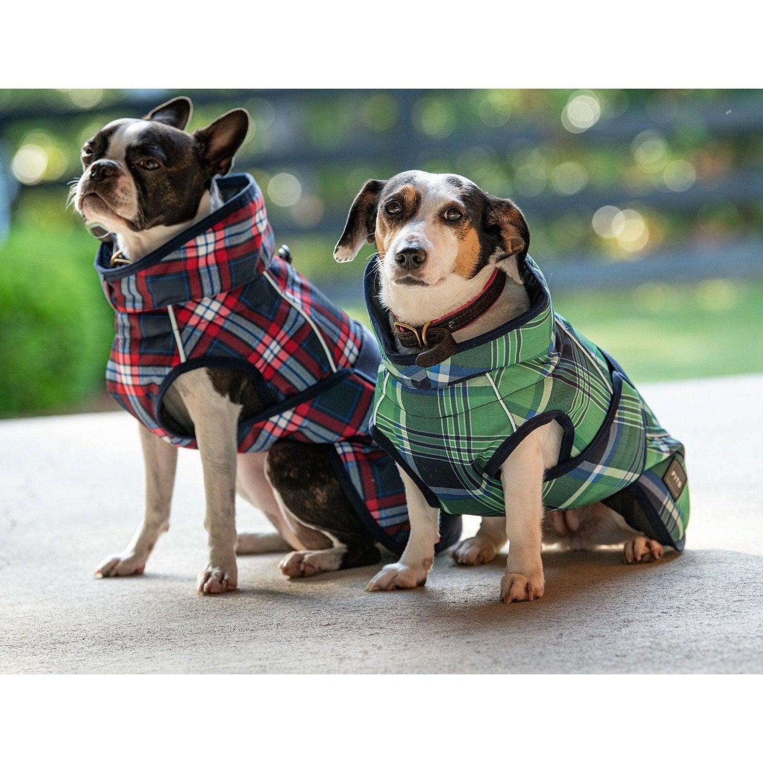 Costumes And Apparel