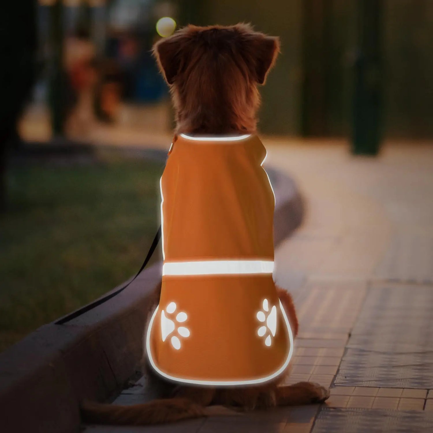 Reflective and Safety Gear
