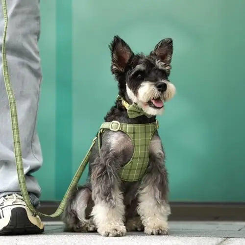 Beirui Cute Extra Small Dog Harness & Leash Set with Bow, Soft Plaid Collar for Tiny Pups  

SEO optimized: small dog harness se