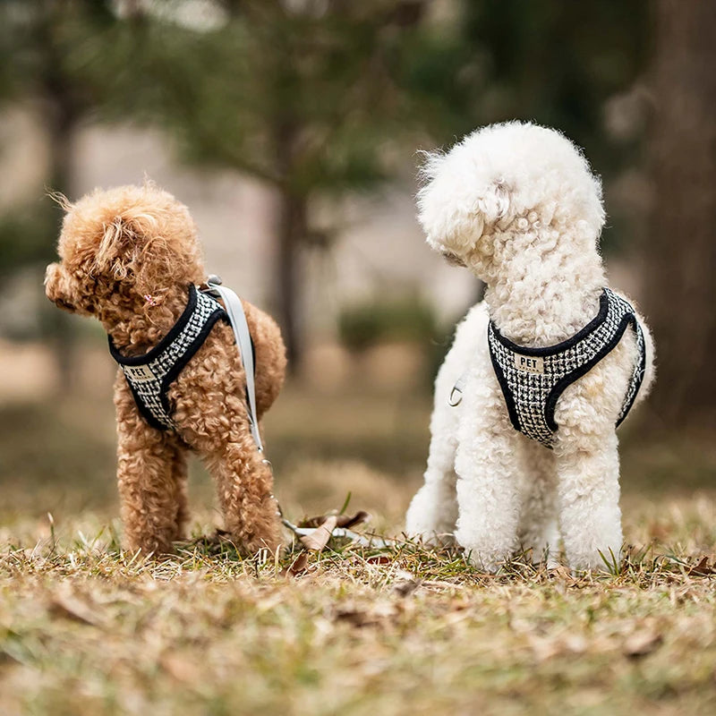 Dog Leash Harness for Small Medium Dogs Adjustable Chest  Vest Strap Breathable Dog Walking Leash Set Pet Outdoor Supplies