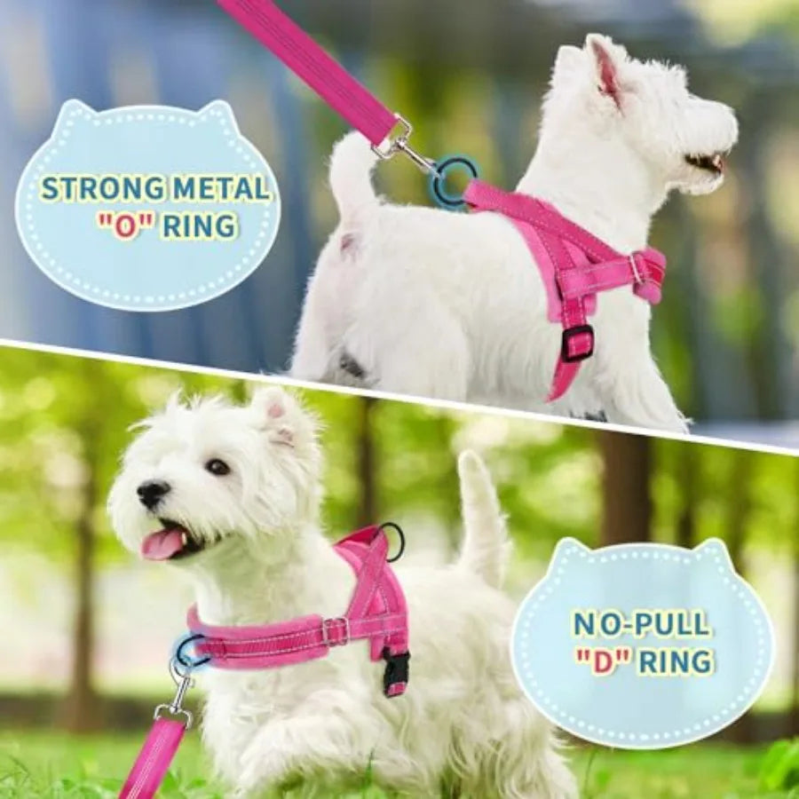 No Pull Dog Harness and Leash Set, Puppy Soft Vest Harness Neck and Chest Adjustable, Reflective Lightweight Harness and Anti-T