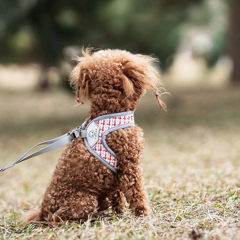 Dog Leash Harness for Small Medium Dogs Adjustable Chest  Vest Strap Breathable Dog Walking Leash Set Pet Outdoor Supplies