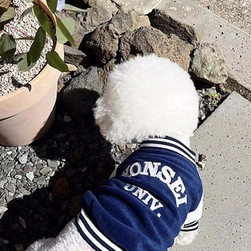 Fashion Dog Clothes Spring Dog Baseball Uniform Cartoon Embroidery Puppy Overcoat Cat Jacket Coat Pet Costumes Chihuahua Clothes