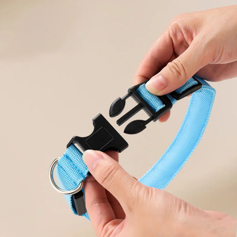 LED Illuminated Dog Collar Adjustable Flashing Lights USB Rechargeable Suitable For Small,Medium,Large,Dog Pet Safety Harness