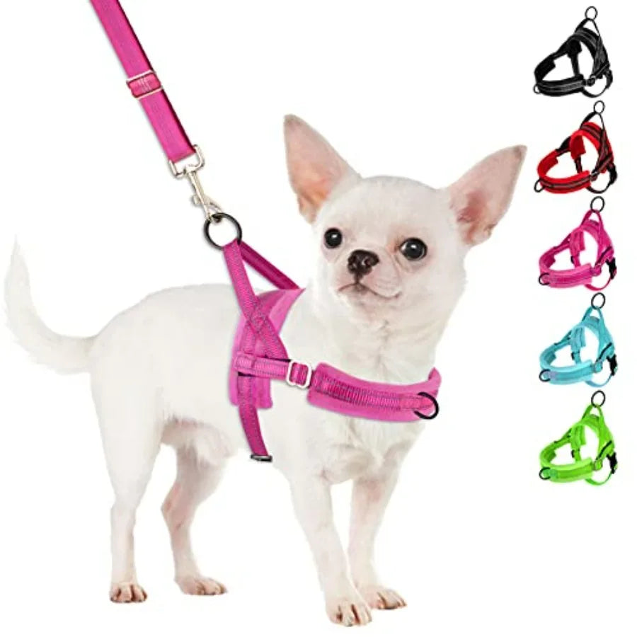 No Pull Dog Harness and Leash Set, Puppy Soft Vest Harness Neck and Chest Adjustable, Reflective Lightweight Harness and Anti-T