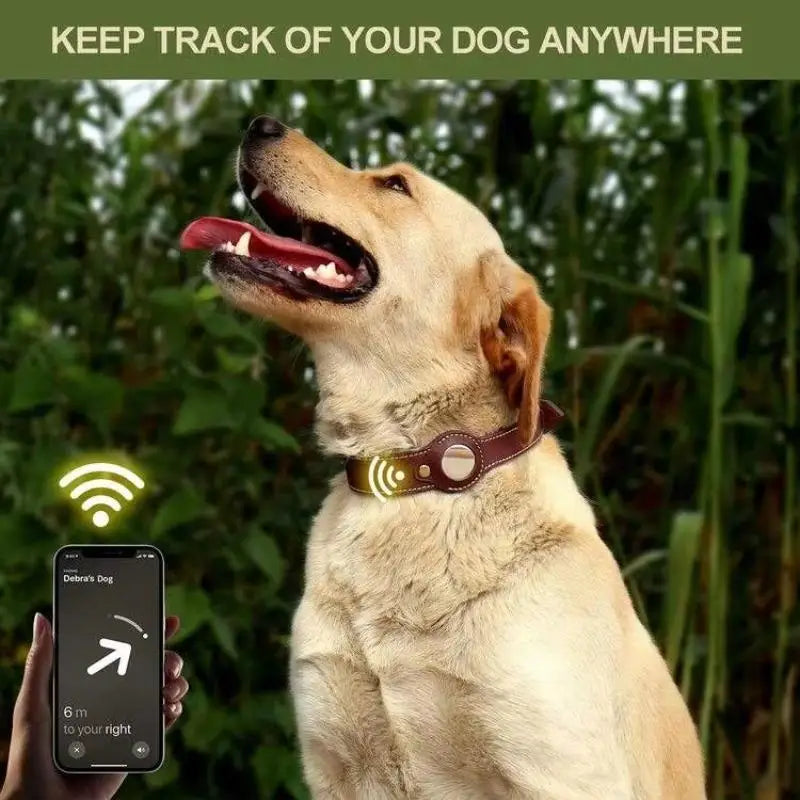 Leather collar locator collar pet dog collar tracking Full grain cowhide detachable