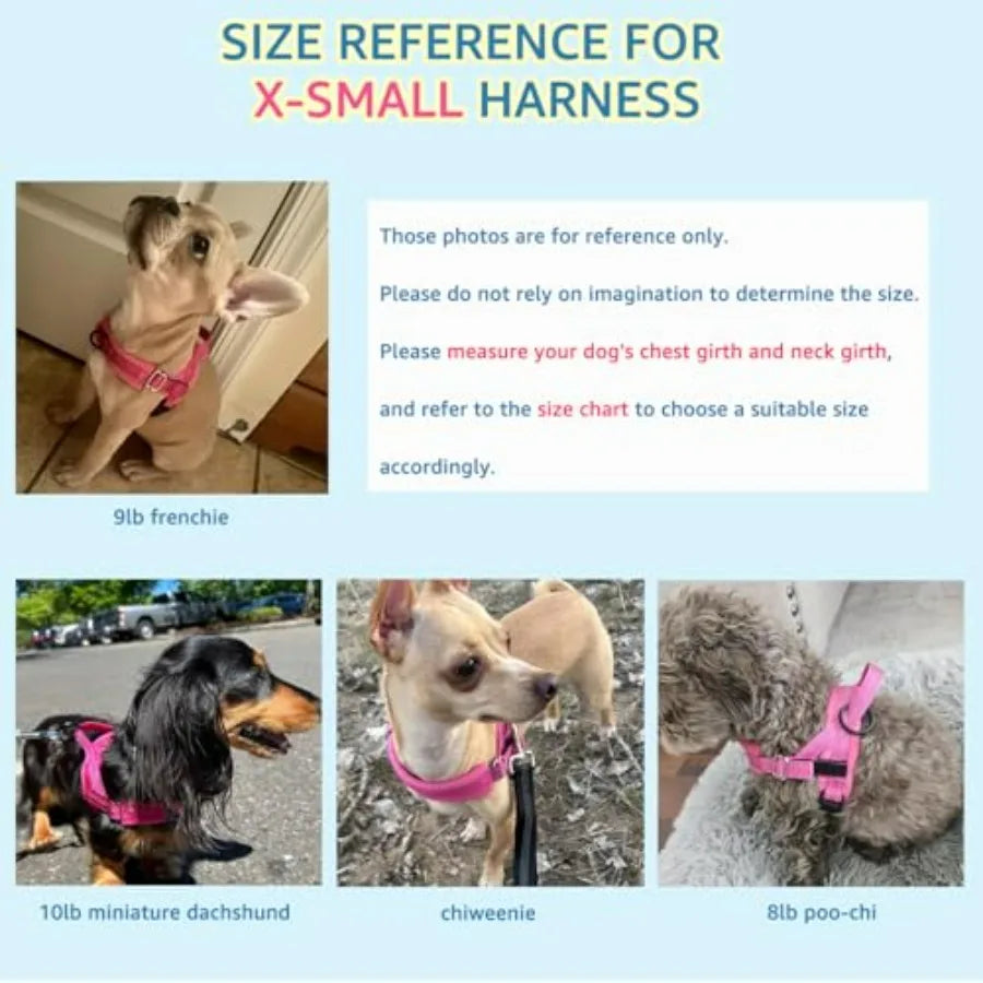 No Pull Dog Harness and Leash Set, Puppy Soft Vest Harness Neck and Chest Adjustable, Reflective Lightweight Harness and Anti-T