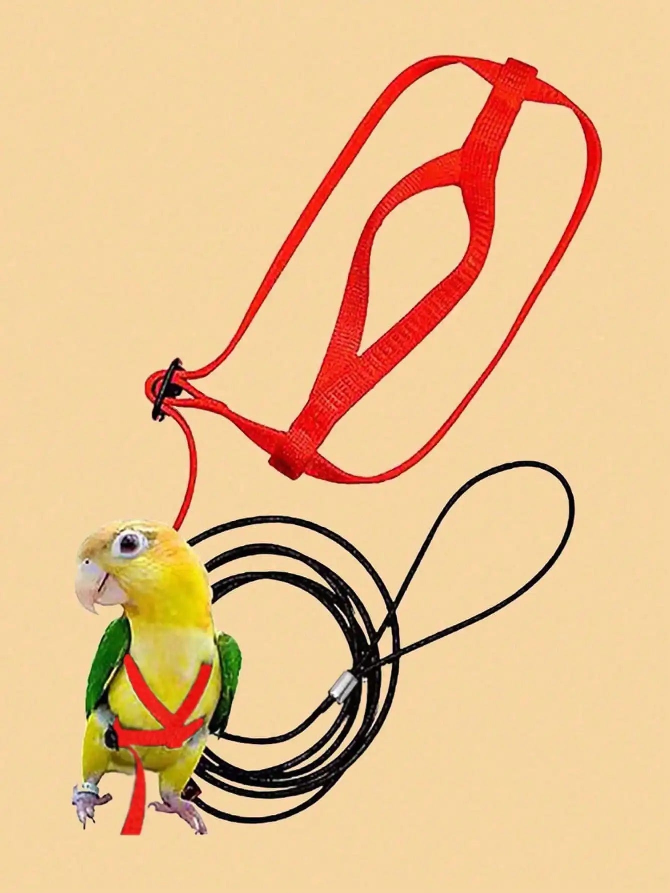 Adjustable Birds Harness and Leash Parrot Harness Leash Training Supplies Pet Anti-bite Outdoor Flying Rope for Conures Budgerig
