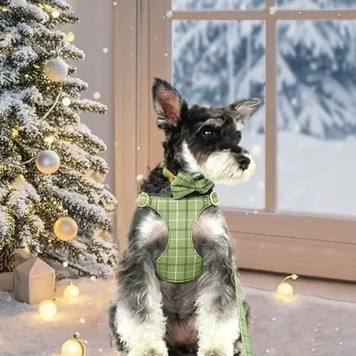 Beirui Cute Extra Small Dog Harness & Leash Set with Bow, Soft Plaid Collar for Tiny Pups  

SEO optimized: small dog harness se