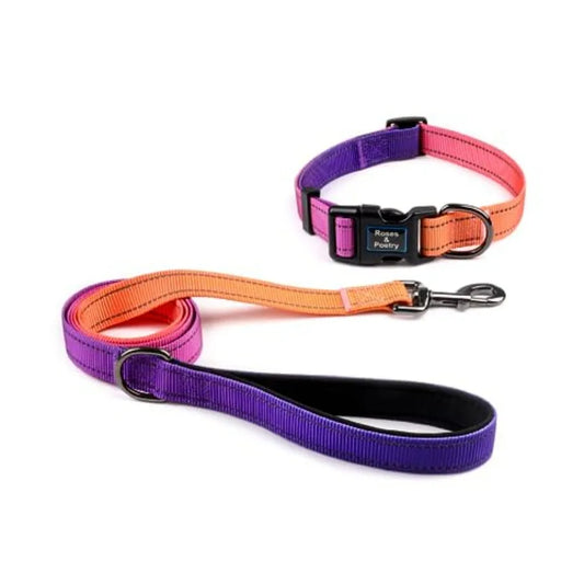 Reflective Dog Collar and Leash Set, Purple Martingale Dog Collar and Leash for Dogs, Adjustable Durable Nylon Pet Collars with