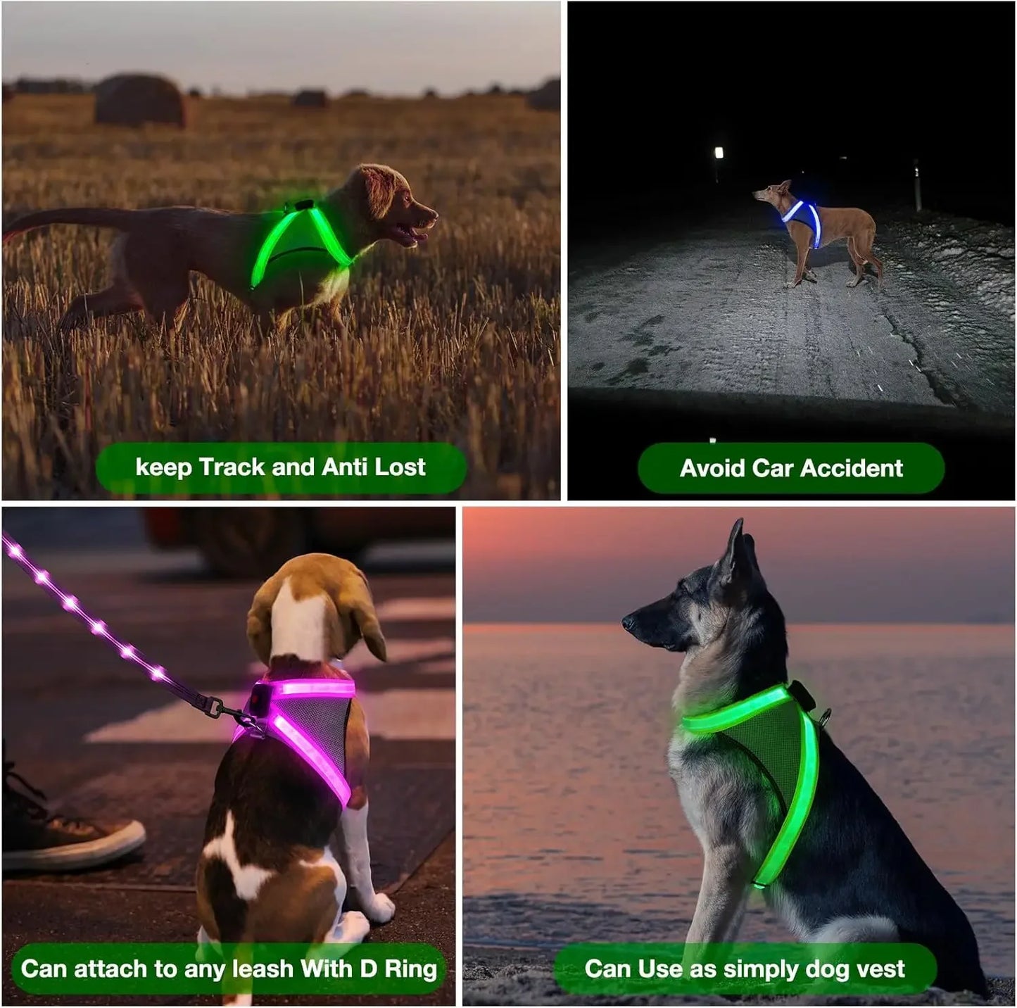 Light Up Dog Harness, USB Rechargeable No-Pull LED Glow-in-The-Dark Safety Vest for Medium Large Dogs with 360° Illumination and
