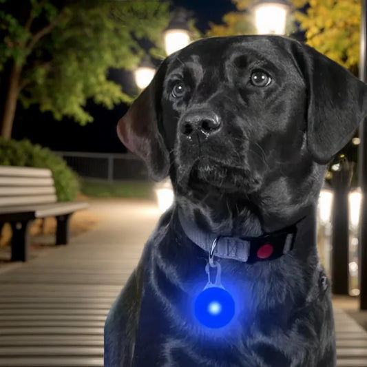 Rechargeable LED Cat Collar - Ultra-Bright Necklace Pendant for Night Pet Visibility