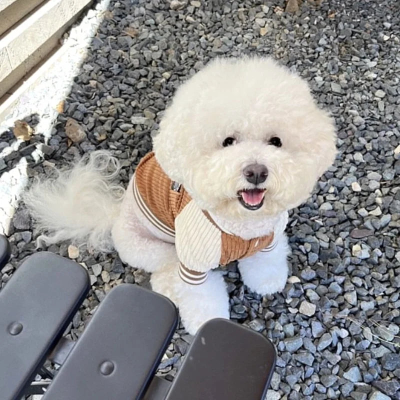 Fashion Dog Clothes Spring Dog Baseball Uniform Cartoon Embroidery Puppy Overcoat Cat Jacket Coat Pet Costumes Chihuahua Clothes