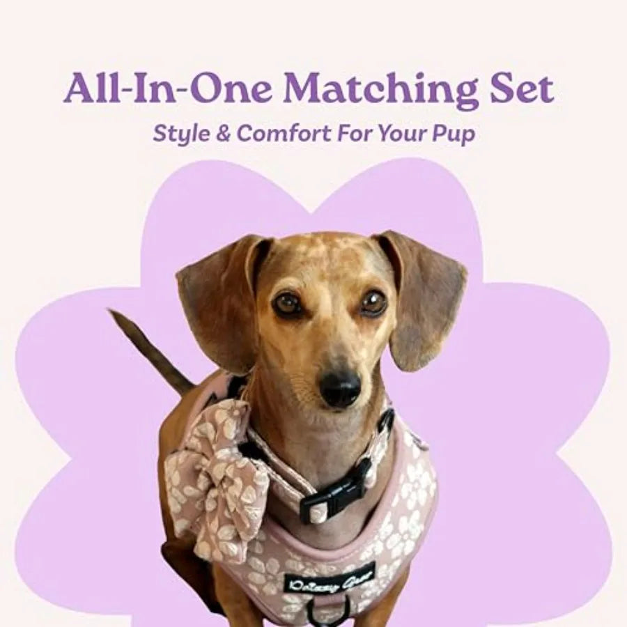 Dog Collar and Harness Set No Pull, All-Weather, Breathable Harness and Leash Set with Collar, Bandana, Sailor Bow and Poop Bag