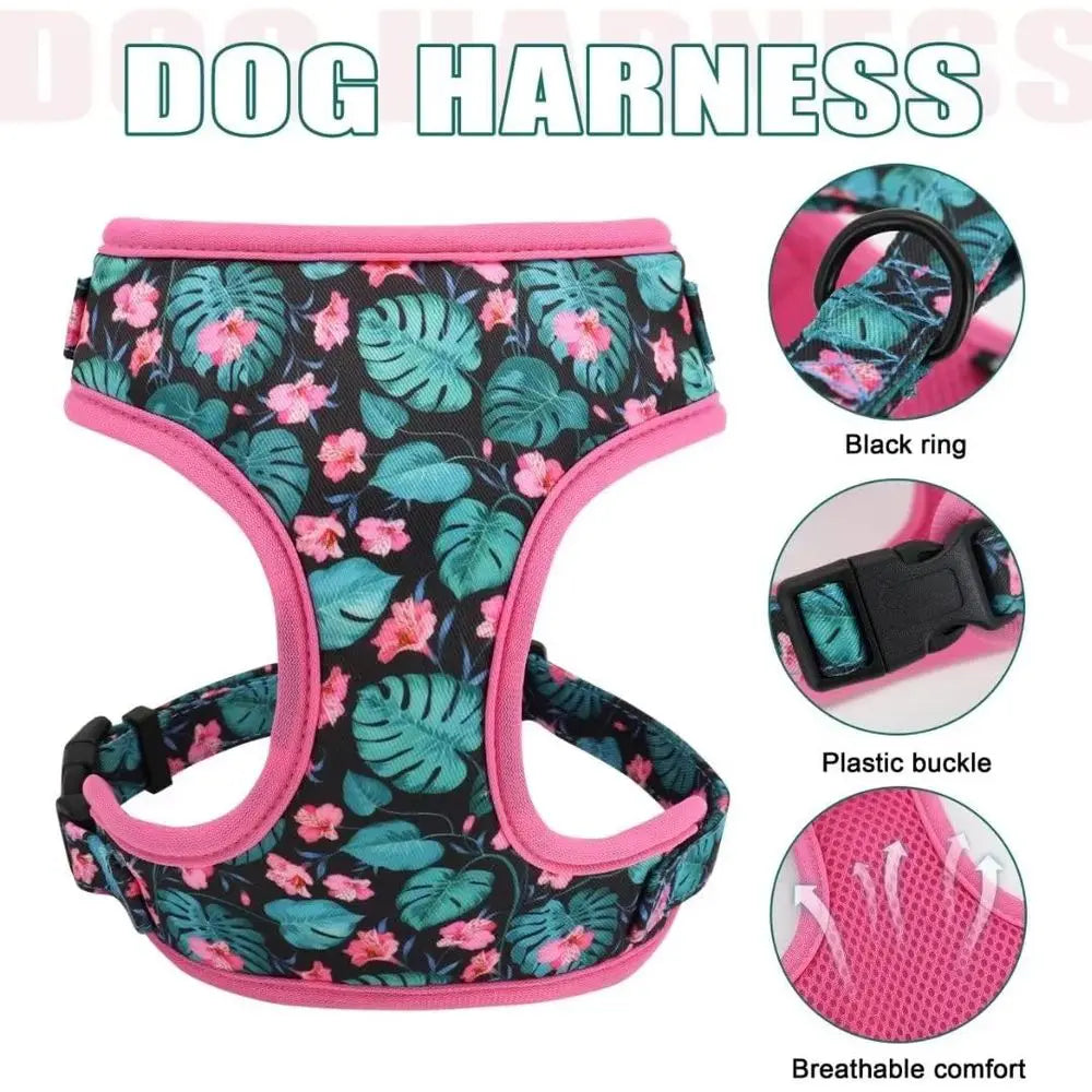Cute Girl Dog Collars, Harnes & Leashes Set - Adjustable Dog Collar and Leash Set with lower - Sot Mesh Dog Vest Harnor Puppies