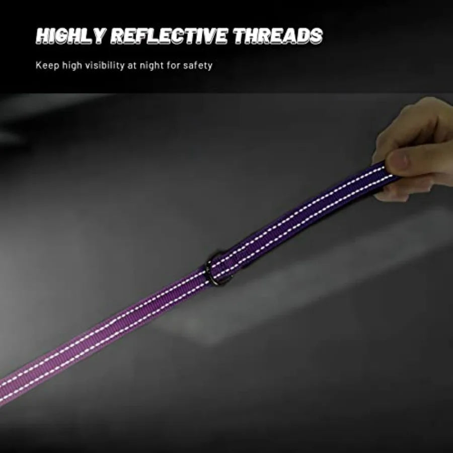 Reflective Dog Collar and Leash Set, Purple Martingale Dog Collar and Leash for Dogs, Adjustable Durable Nylon Pet Collars with