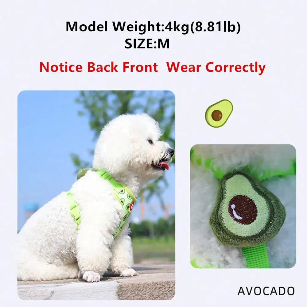Cute Pet Harness And Leash Set For Small Dogs, Anti-Escape Cat Leash, Adjustable Cat Vest, All Seasons Suitable For Outdoor Walking