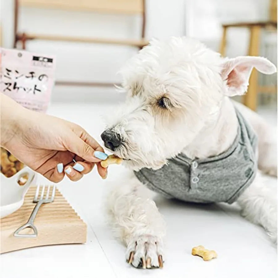 Dog treats cutters set 6 pieces dog cookie cutter sets with different sizes mini small medium big cut out for homemade treats a