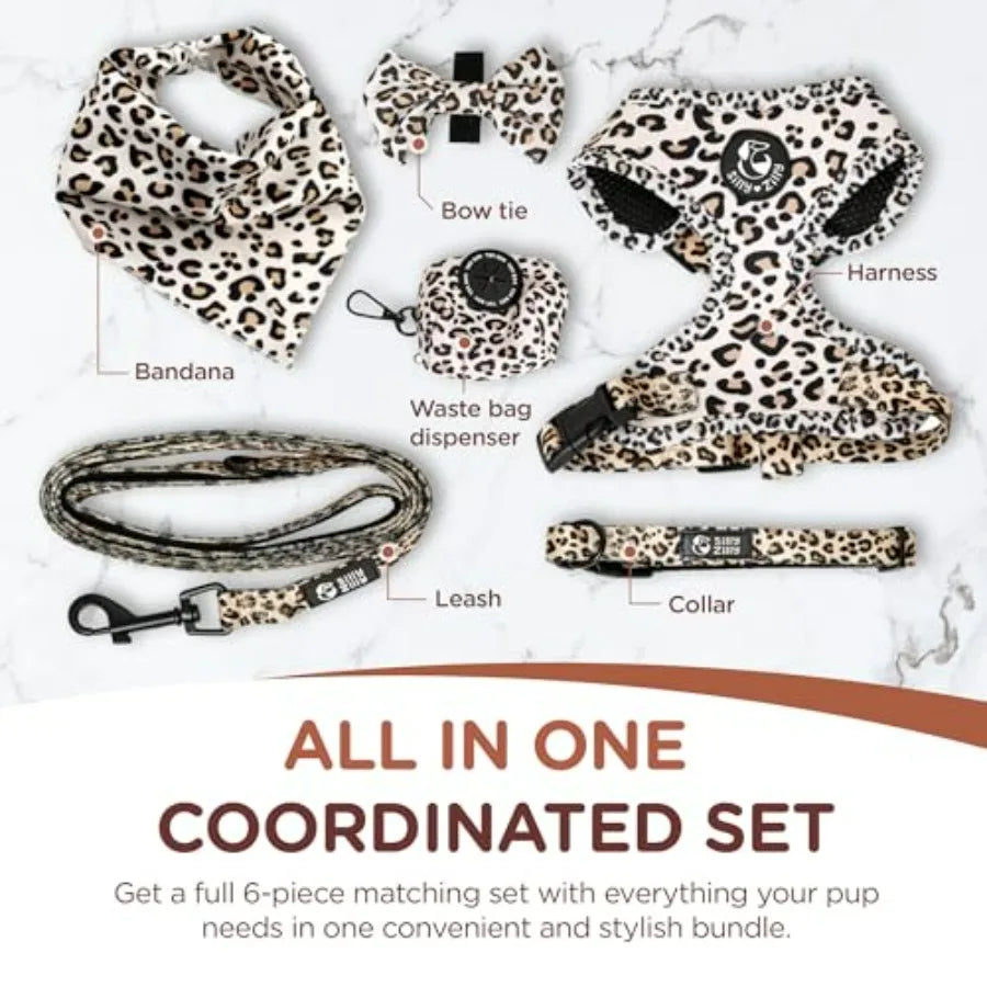 No Pull Harness and Leash Set - 6-in-1 Adjustable Vest Harness and Collars for and Dogs