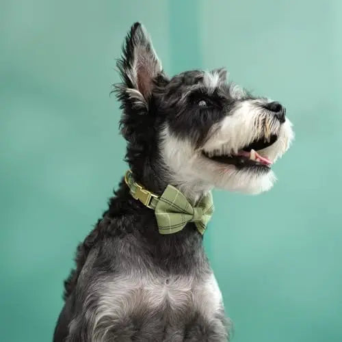 Beirui Cute Extra Small Dog Harness & Leash Set with Bow, Soft Plaid Collar for Tiny Pups  

SEO optimized: small dog harness se