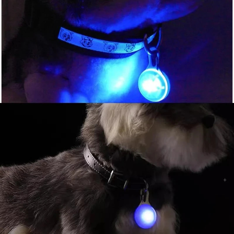 Rechargeable LED Cat Collar - Ultra-Bright Necklace Pendant for Night Pet Visibility