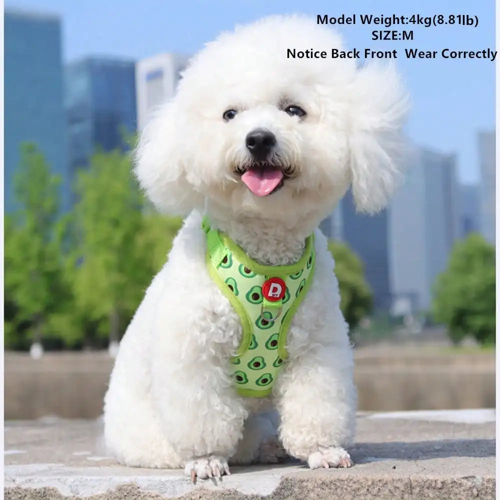 Cute Pet Harness And Leash Set For Small Dogs, Anti-Escape Cat Leash, Adjustable Cat Vest, All Seasons Suitable For Outdoor Walking