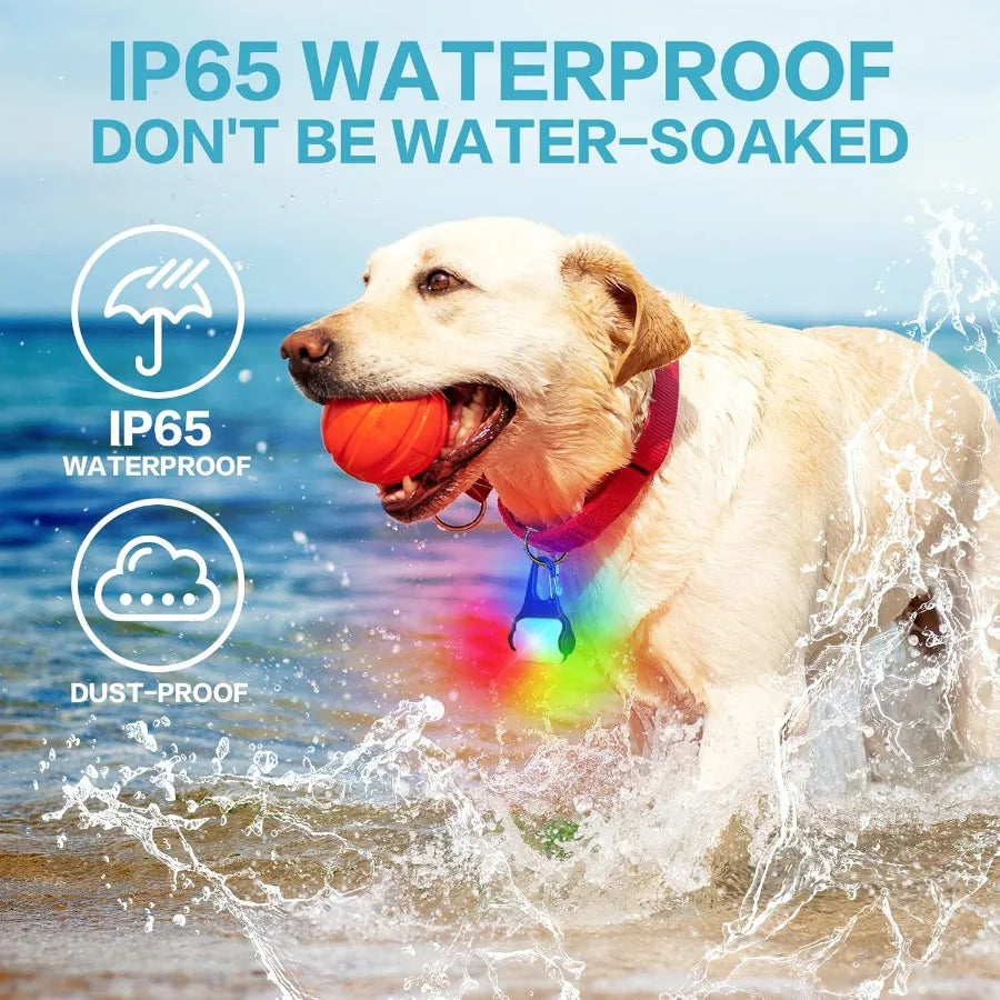 Dog Collar Light 2 Pack Dog Lights for Night Walking 4 Modes Waterproof Dogs Light Clip on Rechargeable LED Dogs Walking Lights