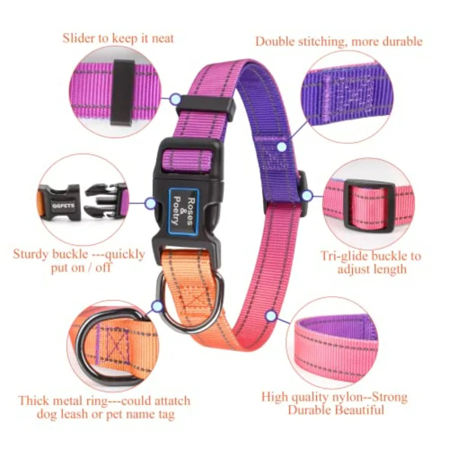 Reflective Dog Collar and Leash Set, Purple Martingale Dog Collar and Leash for Dogs, Adjustable Durable Nylon Pet Collars with