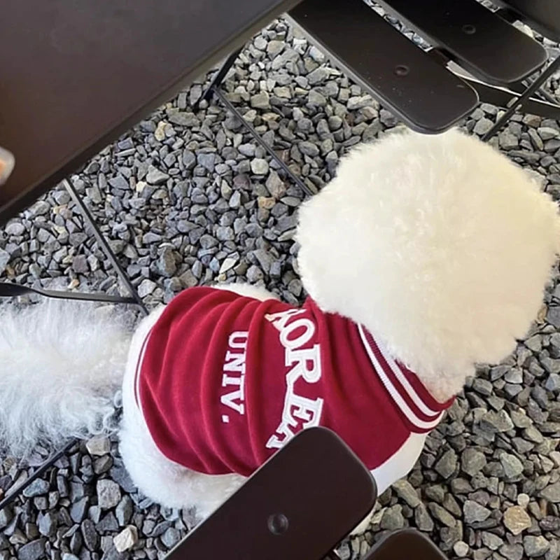 Fashion Dog Clothes Spring Dog Baseball Uniform Cartoon Embroidery Puppy Overcoat Cat Jacket Coat Pet Costumes Chihuahua Clothes