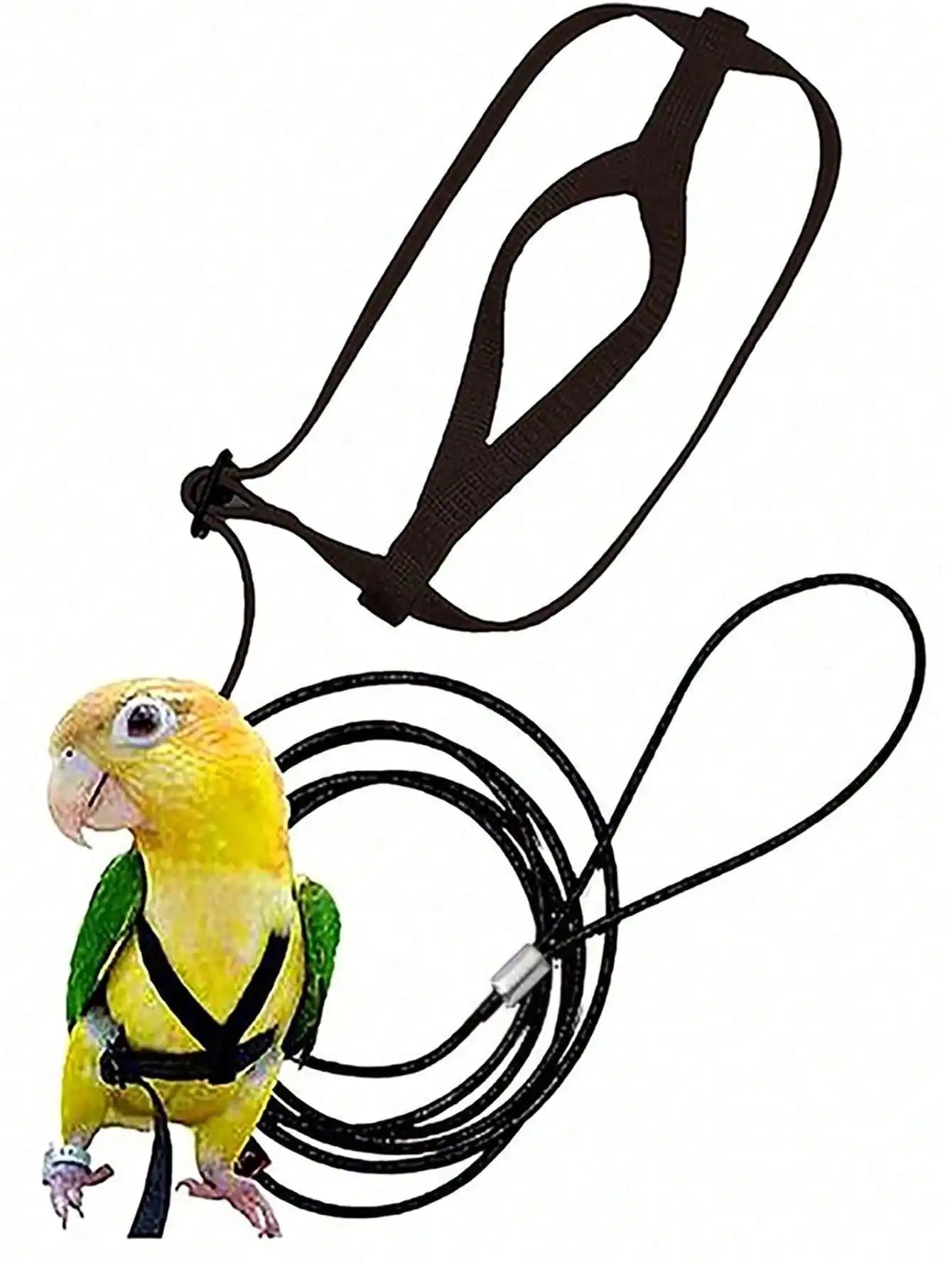 Adjustable Birds Harness and Leash Parrot Harness Leash Training Supplies Pet Anti-bite Outdoor Flying Rope for Conures Budgerig