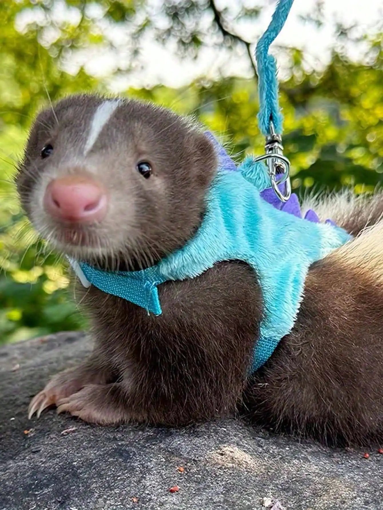 Cute Dinosaur Adjustable Harness And Leash Set For Small Pets Ferret Guinea Pig Hamster Lizard Outdoor Walking