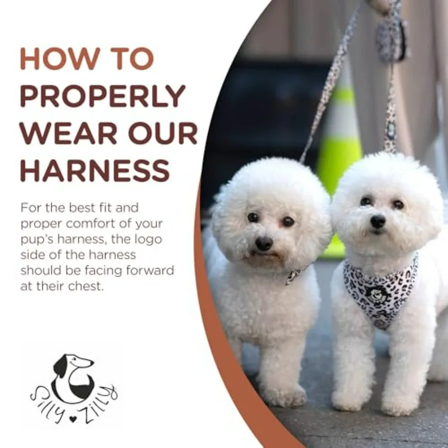 No Pull Harness and Leash Set - 6-in-1 Adjustable Vest Harness and Collars for and Dogs