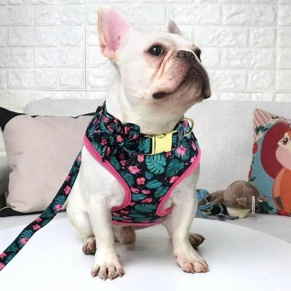 Cute Girl Dog Collars, Harnes & Leashes Set - Adjustable Dog Collar and Leash Set with lower - Sot Mesh Dog Vest Harnor Puppies
