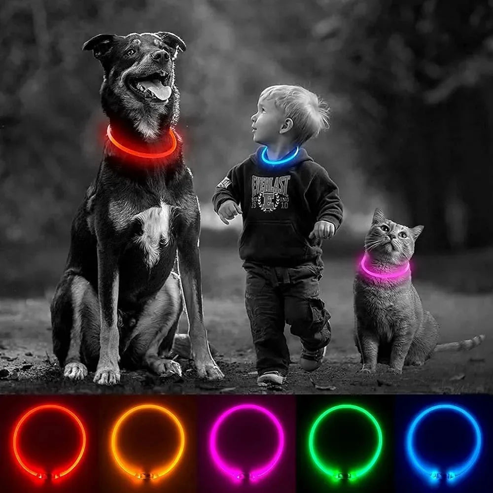 LED dog collar, USB rechargeable illuminated pet dog collar, 3 modes, LED illuminated anti-lost dog collar