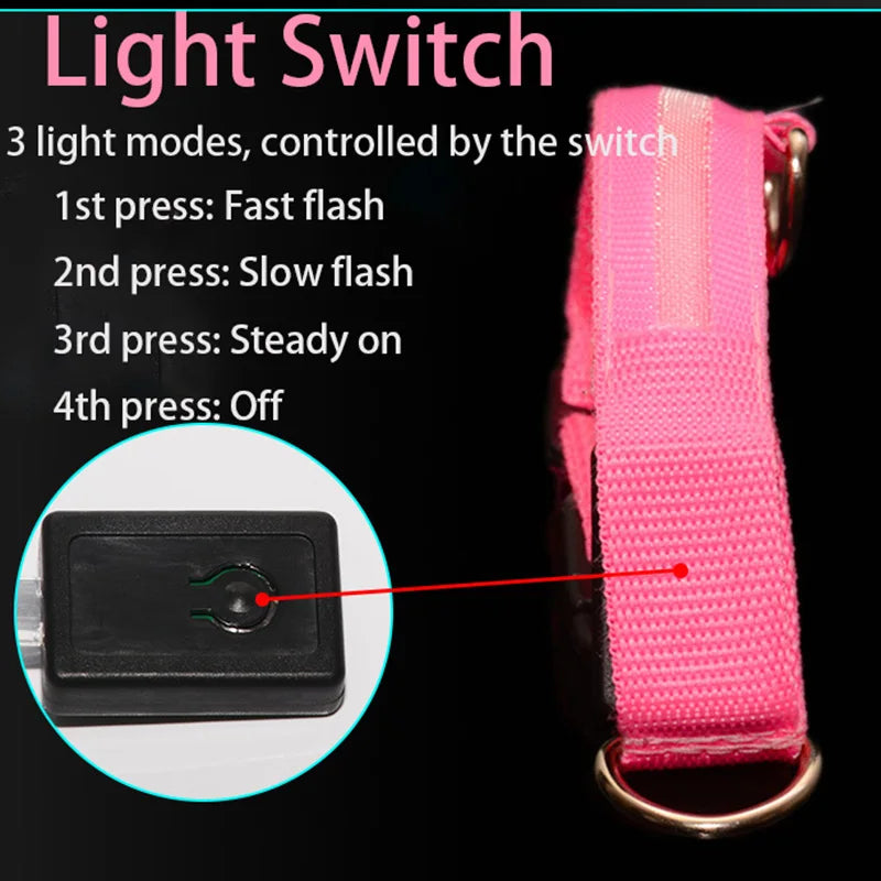 LED Illuminated Dog Collar Adjustable Flashing Lights USB Rechargeable Suitable For Small,Medium,Large,Dog Pet Safety Harness