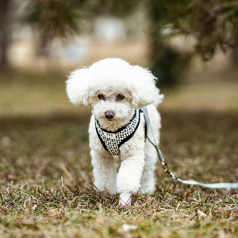 Dog Leash Harness for Small Medium Dogs Adjustable Chest  Vest Strap Breathable Dog Walking Leash Set Pet Outdoor Supplies