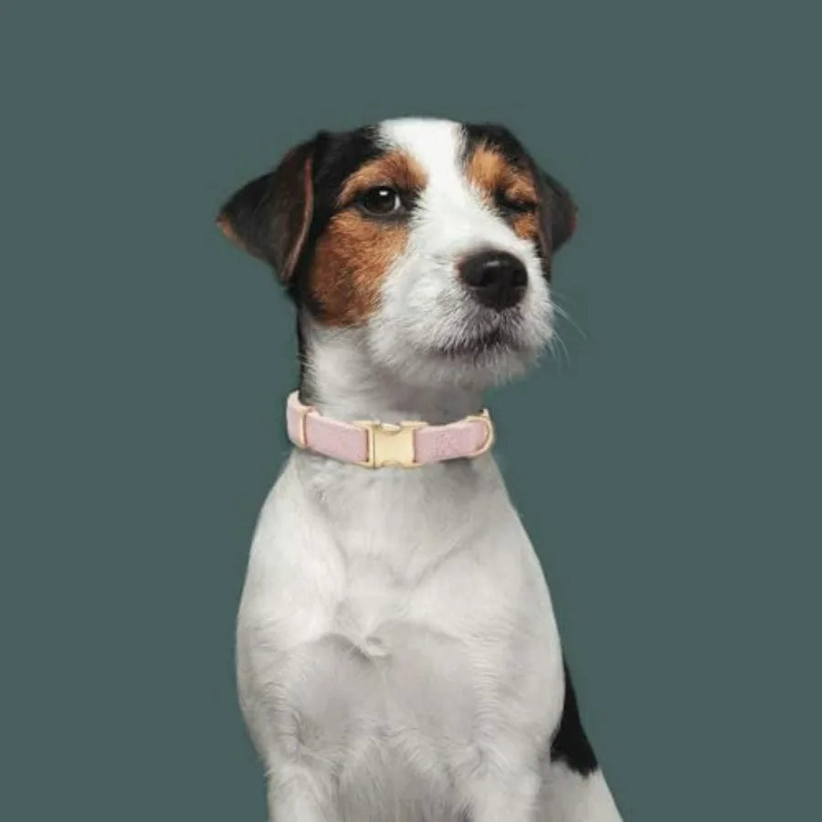 Soft Dog Collar and Leash Set Adjustable Woven Tweed Dog Collars with Metal Buckle and Lead for Dogs, Pink