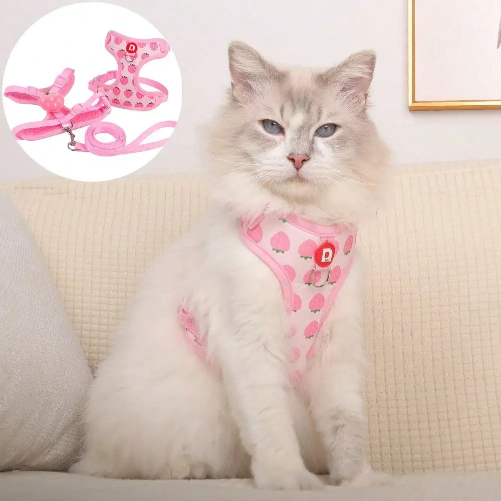 Cute Pet Harness And Leash Set For Small Dogs, Anti-Escape Cat Leash, Adjustable Cat Vest, All Seasons Suitable For Outdoor Walking