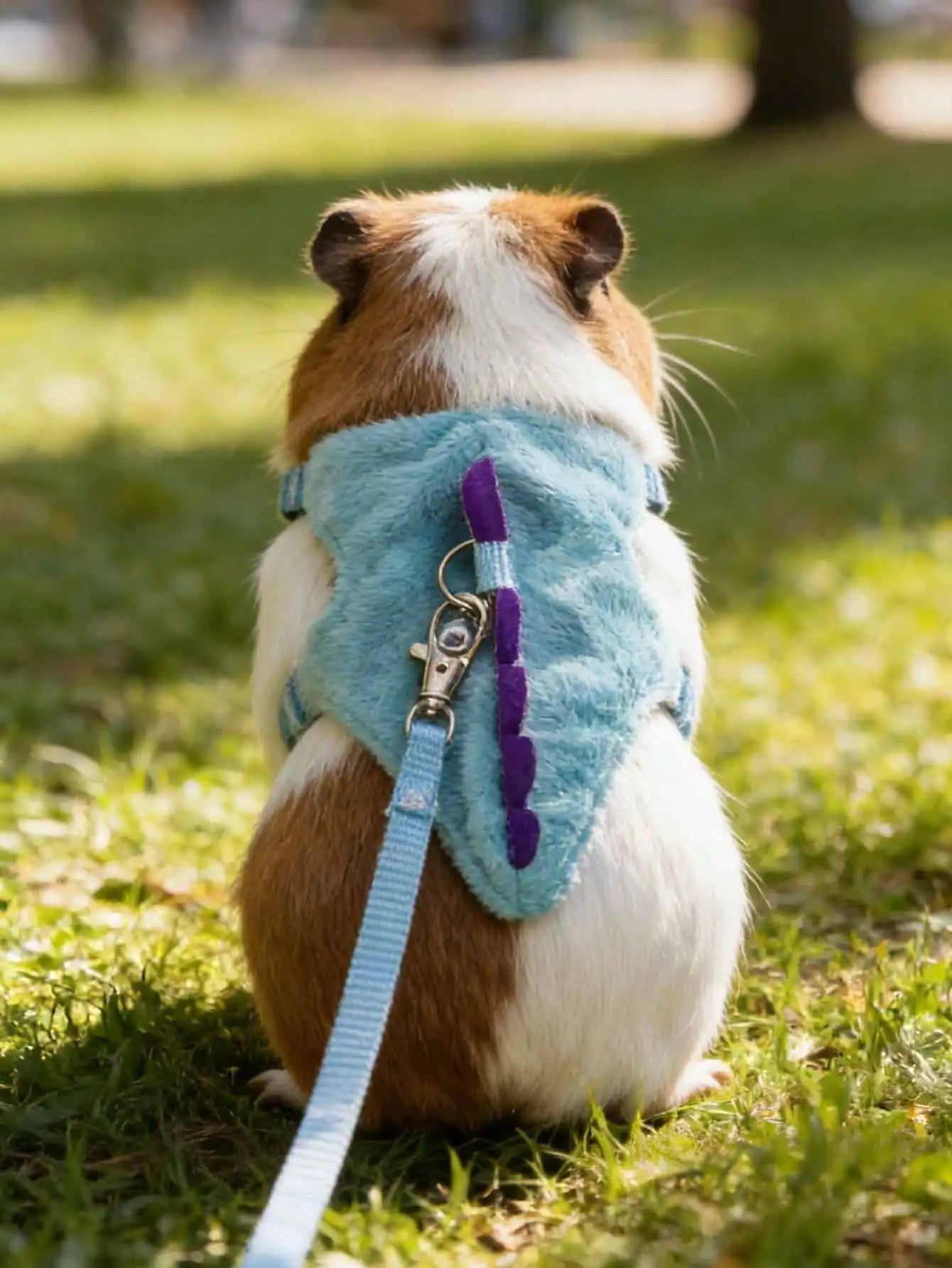 Cute Dinosaur Adjustable Harness And Leash Set For Small Pets Ferret Guinea Pig Hamster Lizard Outdoor Walking
