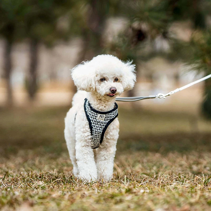 Dog Leash Harness for Small Medium Dogs Adjustable Chest  Vest Strap Breathable Dog Walking Leash Set Pet Outdoor Supplies