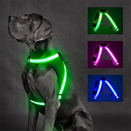 Light Up Dog Harness, USB Rechargeable No-Pull LED Glow-in-The-Dark Safety Vest for Medium Large Dogs with 360° Illumination and