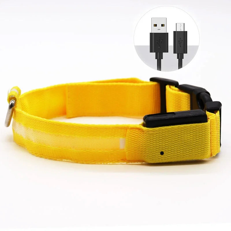 LED Illuminated Dog Collar Adjustable Flashing Lights USB Rechargeable Suitable For Small,Medium,Large,Dog Pet Safety Harness