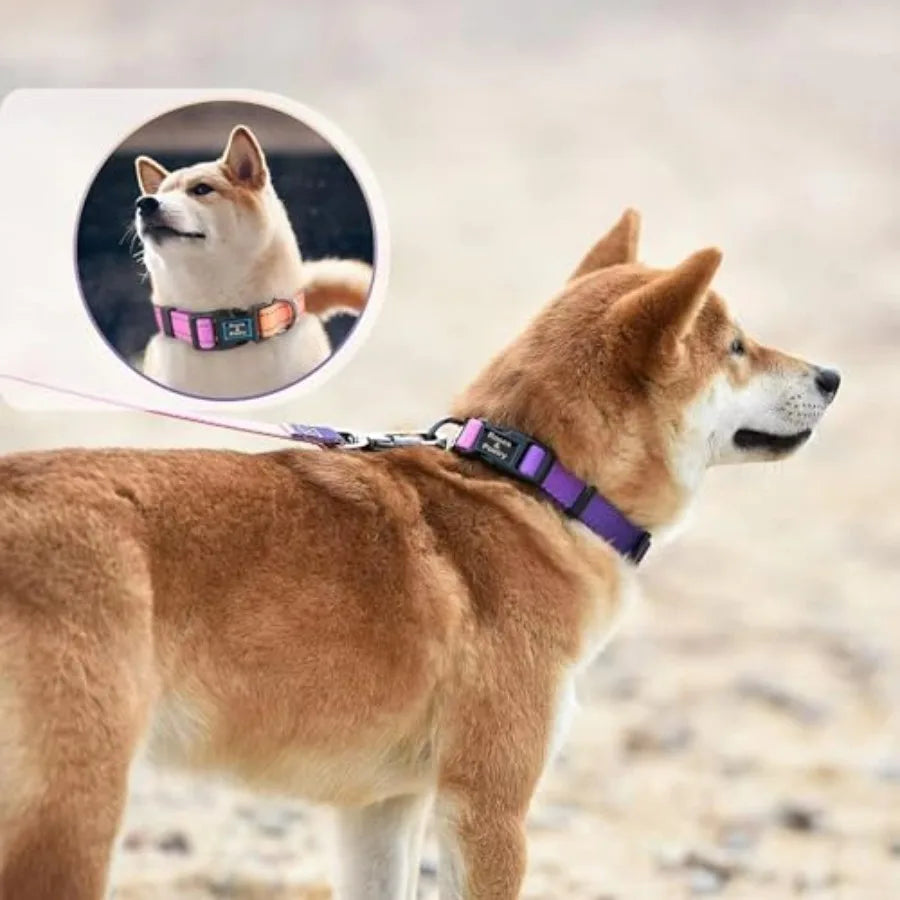 Reflective Dog Collar and Leash Set, Purple Martingale Dog Collar and Leash for Dogs, Adjustable Durable Nylon Pet Collars with