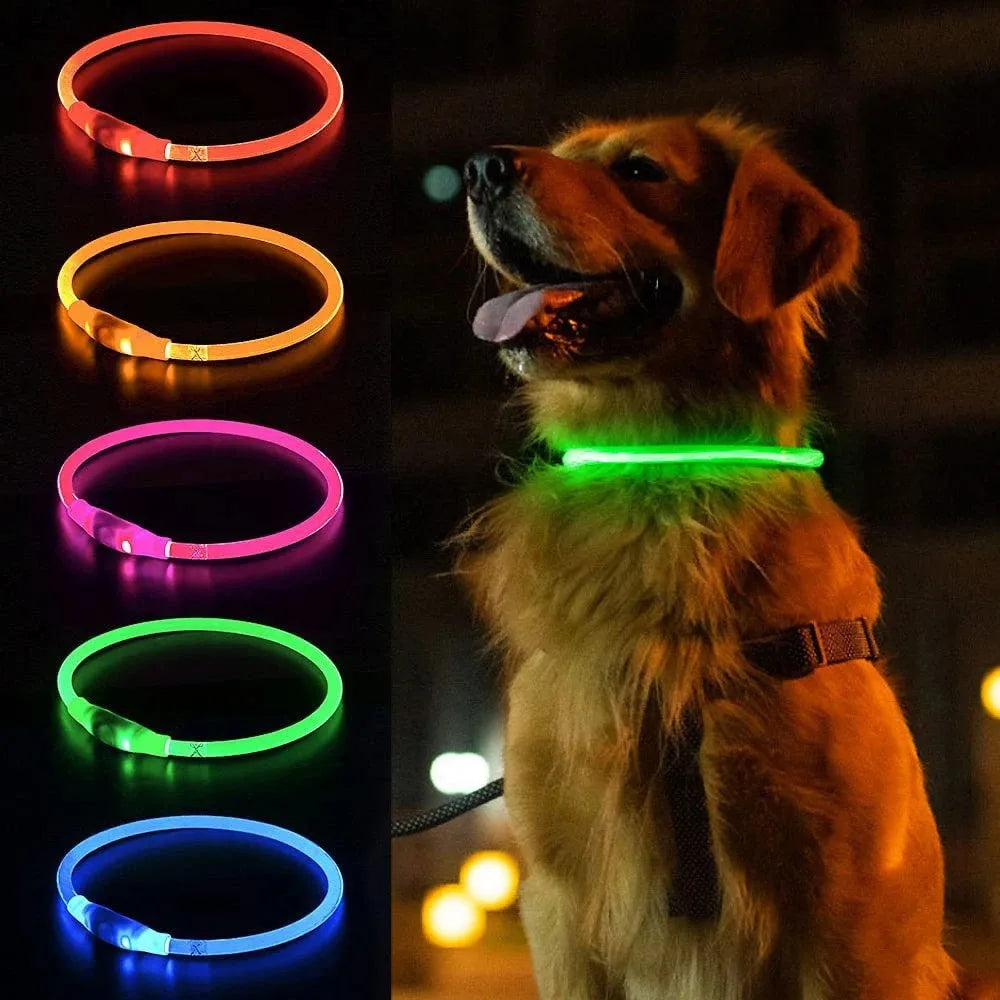 LED dog collar, USB rechargeable illuminated pet dog collar, 3 modes, LED illuminated anti-lost dog collar