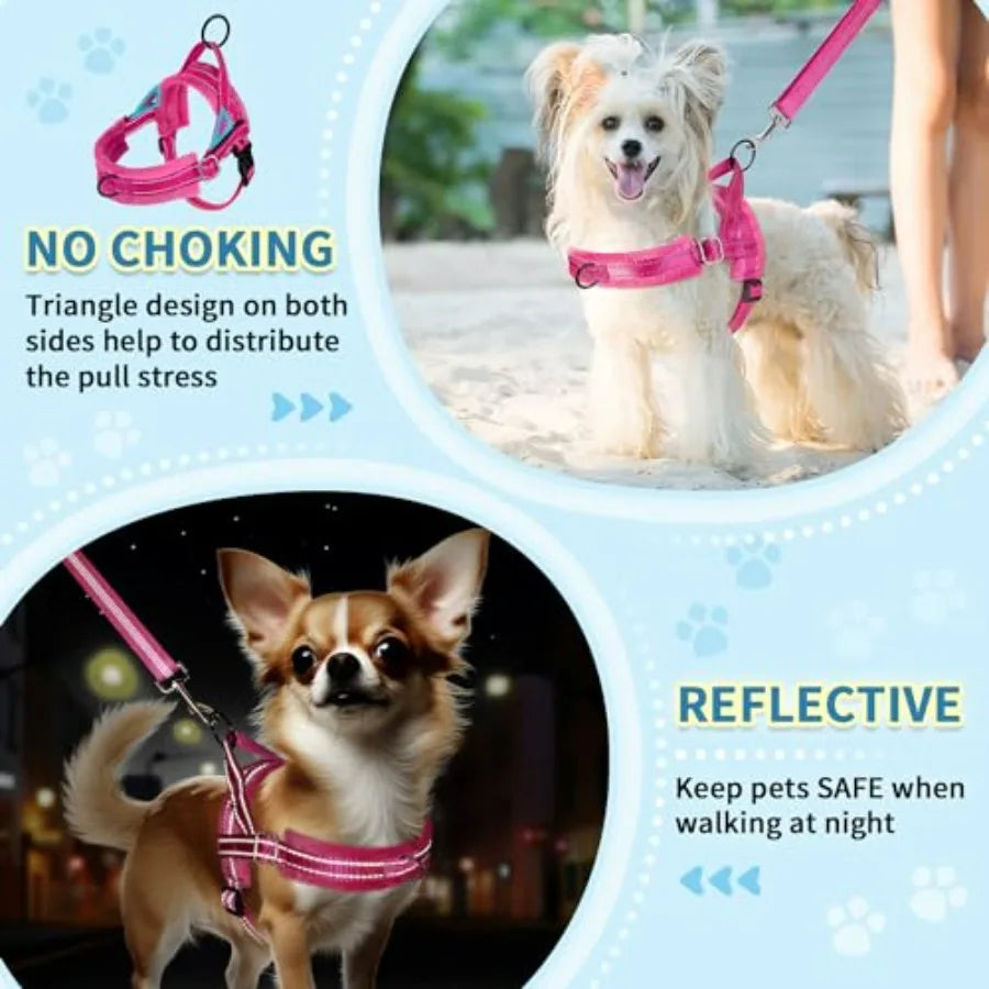 No Pull Dog Harness and Leash Set, Puppy Soft Vest Harness Neck and Chest Adjustable, Reflective Lightweight Harness and Anti-T