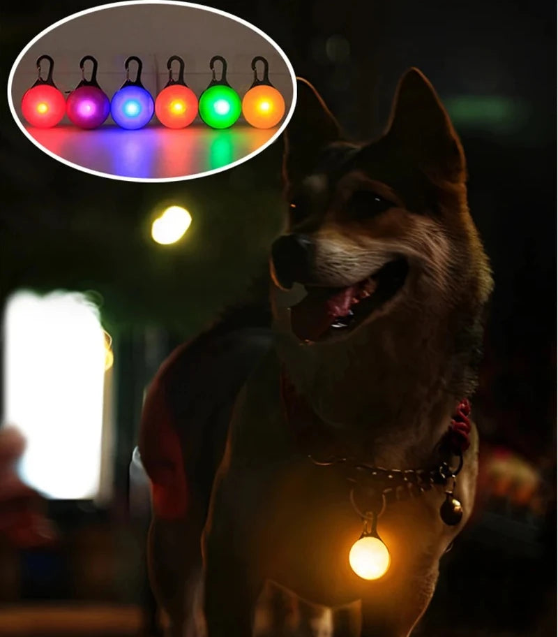 Rechargeable LED Cat Collar - Ultra-Bright Necklace Pendant for Night Pet Visibility